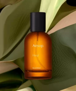 Aesop Home Living Hwyl