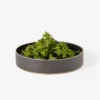 Hasami Porcelain Home Living Bowl - Black