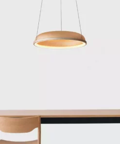 Resident Mesh Space Pendant