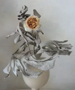 Regime Des Fleurs Home Living La-Bas - Eau De Parfum